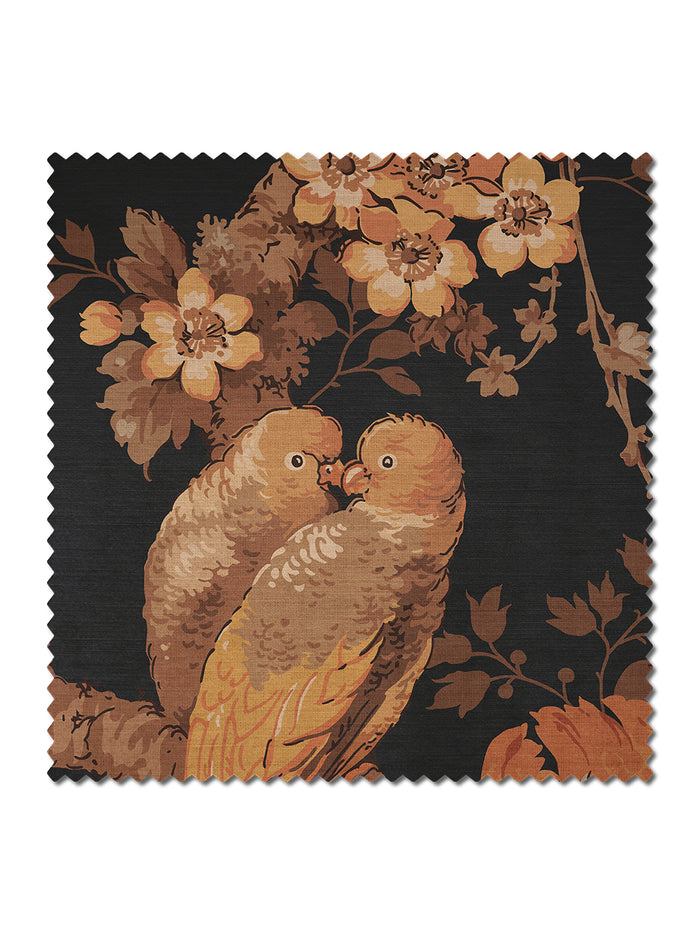 Lovebirds Black