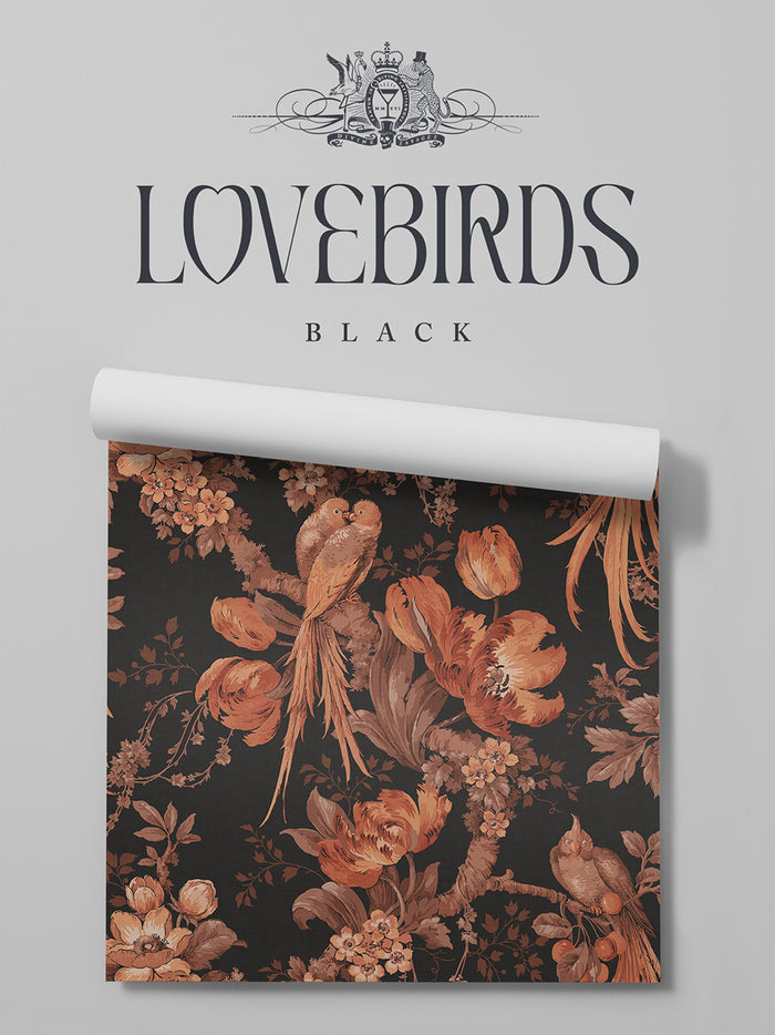 Lovebirds Black