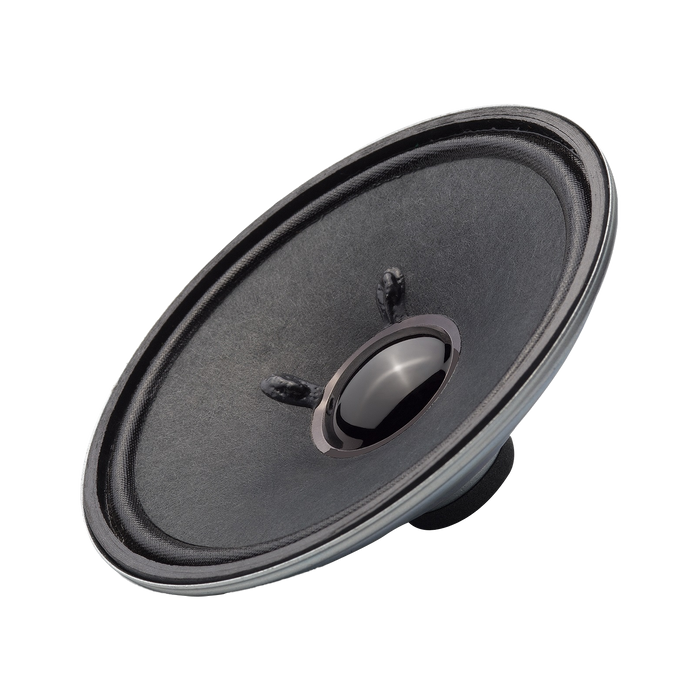 MF5P Portable Voice Amplifier
