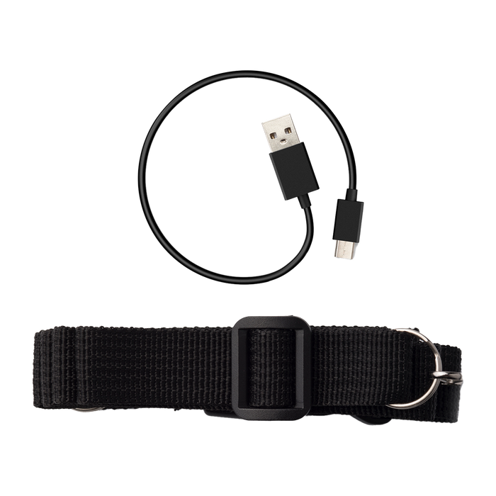 MF5P Portable Voice Amplifier