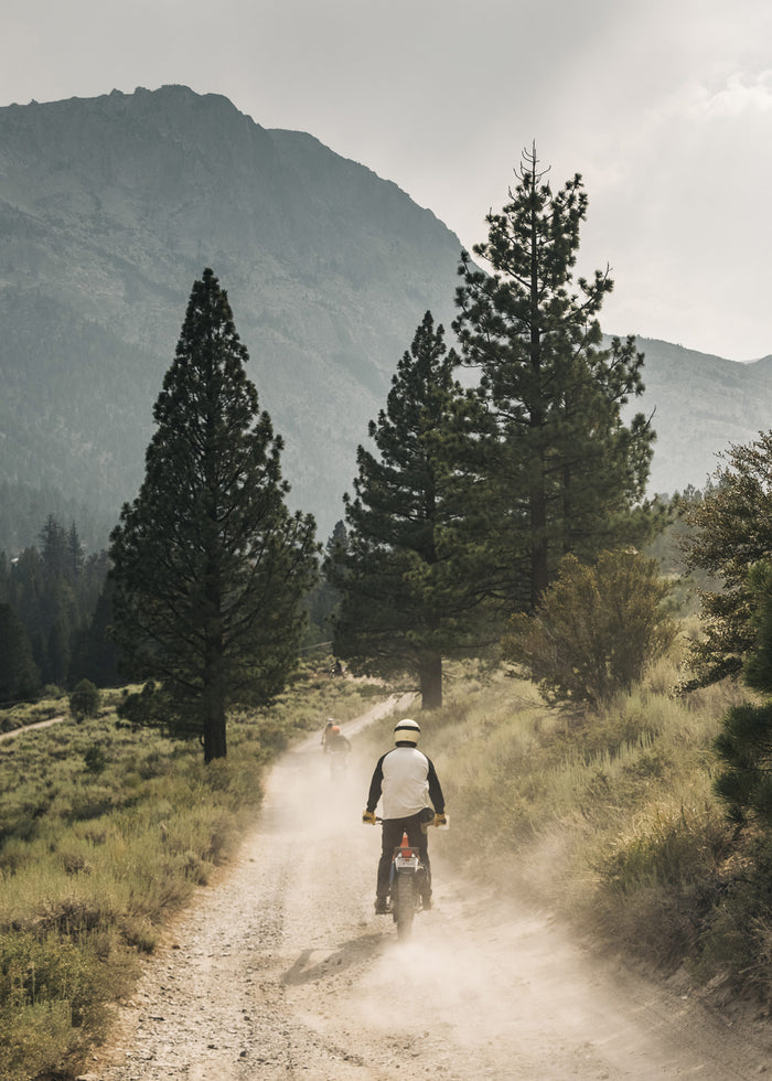 Motorcyclists ride on a dusty trail through a forested mountain landscape, surrounded by tall pine trees and rugged terrain.