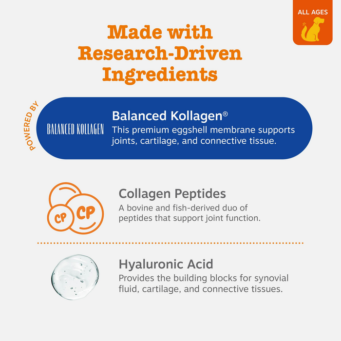 Product packaging displaying ingredients: Balanced Kollagen, Collagen Peptides, and Hyaluronic Acid for dog supplements.