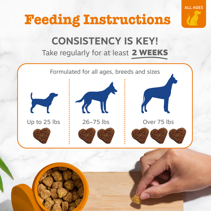 Feeding instructions card with dog size chart and dosage guidance shown with heart-shaped treats in orange bowl.