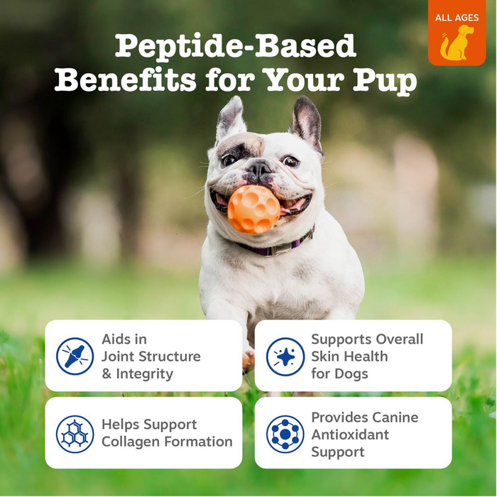 White dog holding an orange textured treat in its mouth outdoors.