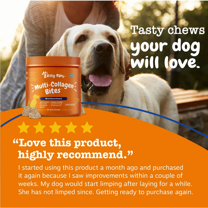 Orange jar of Multi-Collagen Bites dog treats next to yellow Labrador Retriever outdoors.
