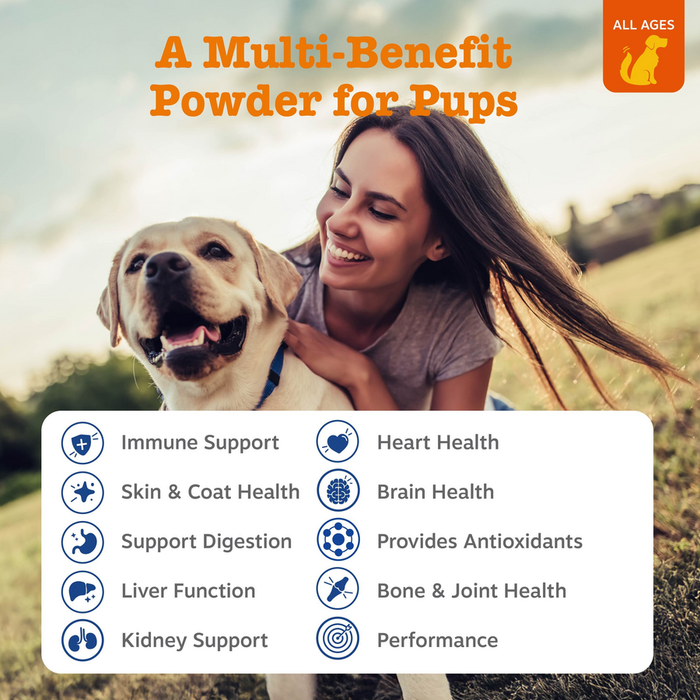 Woman and yellow Labrador in outdoor field with multivitamin powder product benefits listed below.