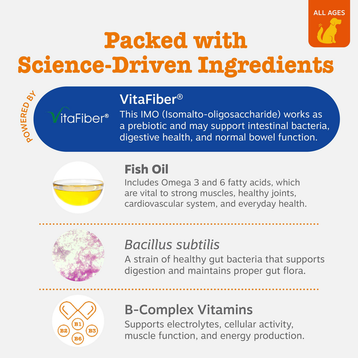 Infographic showing dog multivitamin powder ingredients: VitaFiber, Fish Oil, Bacillus subtilis, and B-Complex Vitamins with