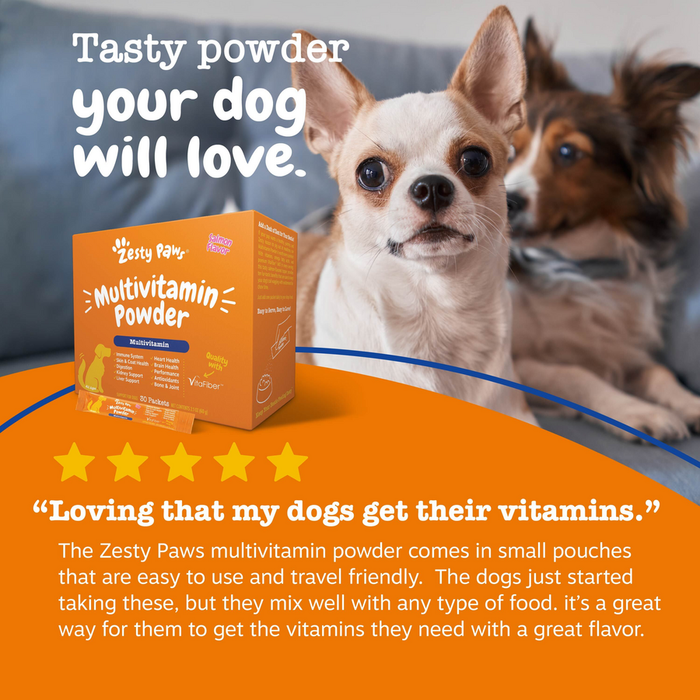 Zesty Paws multivitamin powder orange box with small pouches, displayed next to two small dogs.