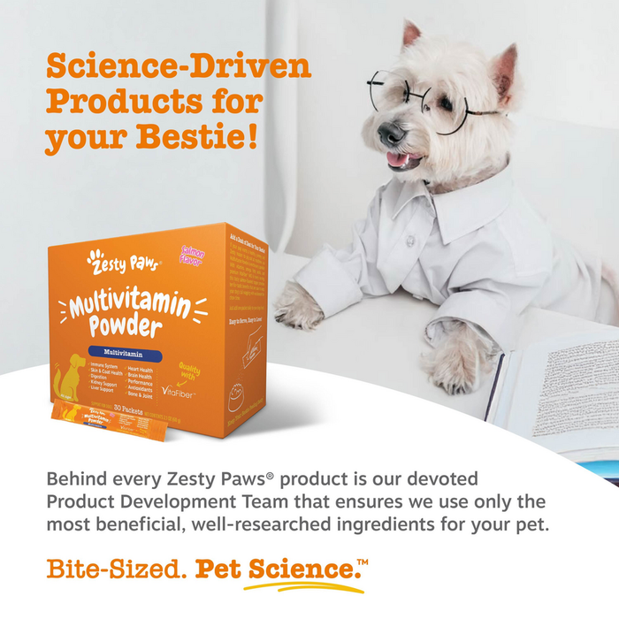 Orange Zesty Paws multivitamin powder box next to white dog wearing glasses and white shirt reading a document.