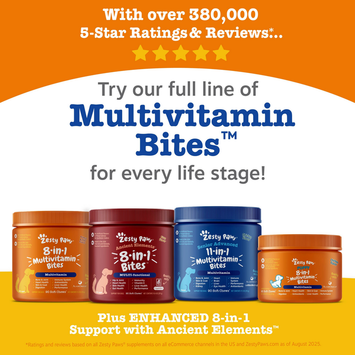 Four Zesty Paw multivitamin bottles in orange, burgundy, blue, and orange containers displayed against orange and yellow back