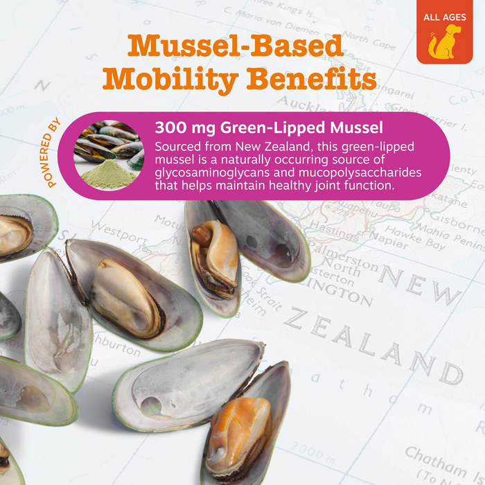 Green-lipped mussels displayed on a New Zealand map with product information about mussel-based mobility benefits for dogs.