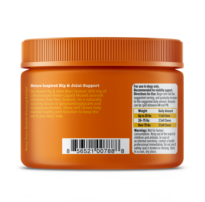 Orange plastic jar with orange ridged cap containing dog hip and joint supplement soft chews with product label and dosage in