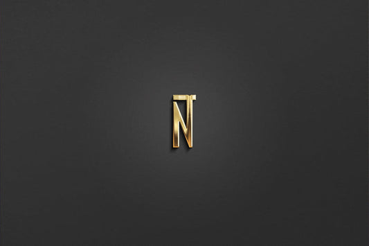 N & T - Letter Logo Design | Instant Download | Premade Logo | Wedding Logo | Couple Logo