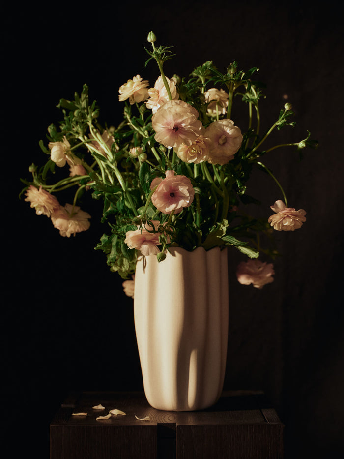 Nium Vase - More Options - BEAM