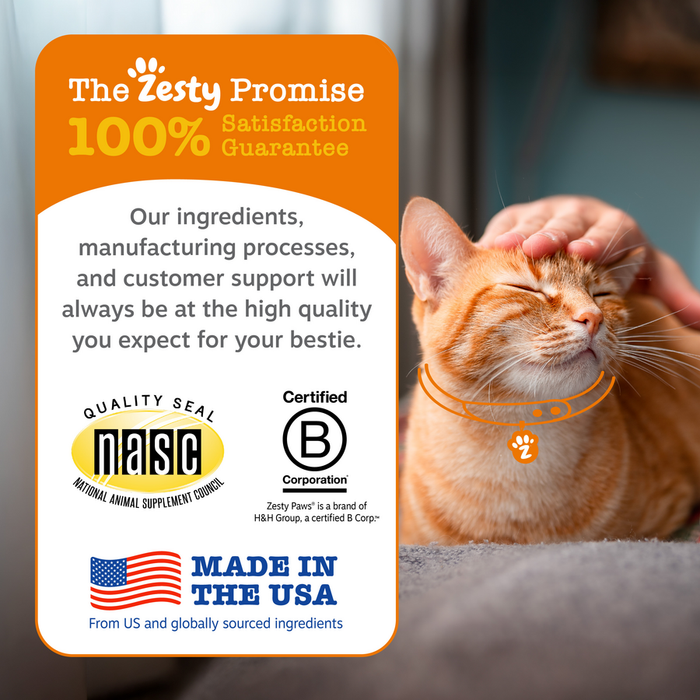 Orange tabby cat wearing collar next to Zesty Promise product information card with quality certifications.