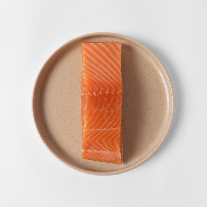 King Salmon - SEATOPIA