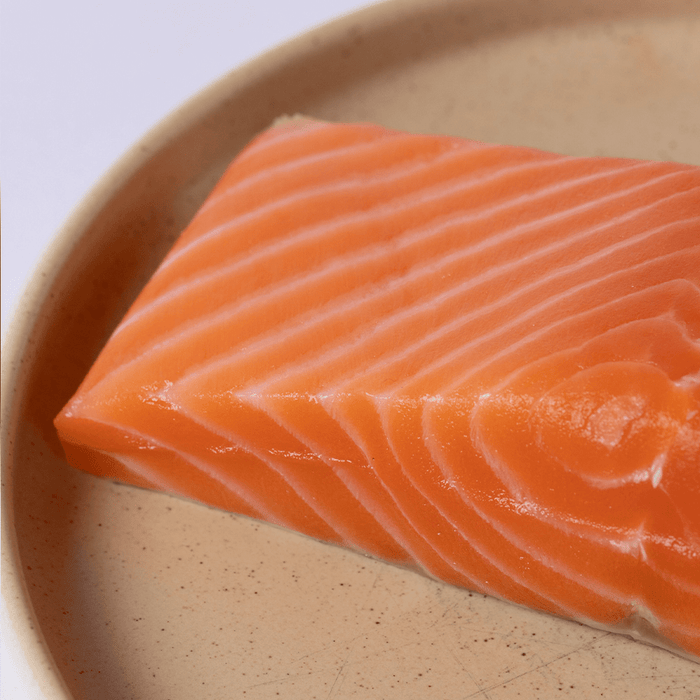King Salmon - SEATOPIA