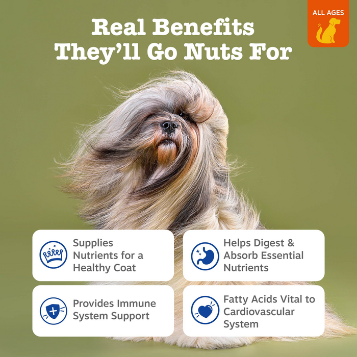 Small dog with long gray and tan coat against olive green background with benefit text boxes.