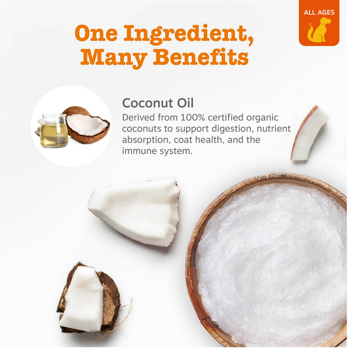 White coconut oil in a wooden bowl surrounded by coconut flesh pieces and a glass of oil.