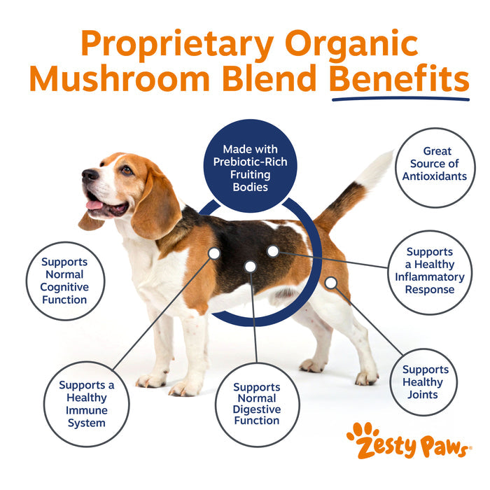 Beagle with benefit callouts for mushroom powder including prebiotic-rich fruiting bodies, antioxidants, and joint support.
