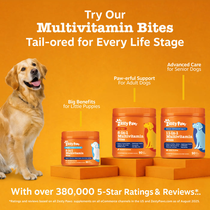 Golden retriever sitting beside three orange jars of Zesty Paws multivitamin supplements on orange blocks against orange back