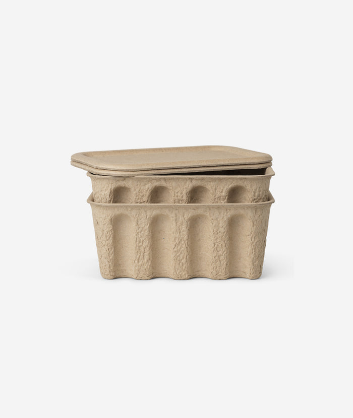Paper Pulp Box - More Options - BEAM