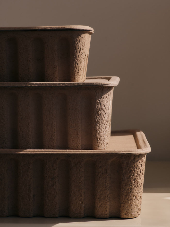 Paper Pulp Box - More Options - BEAM