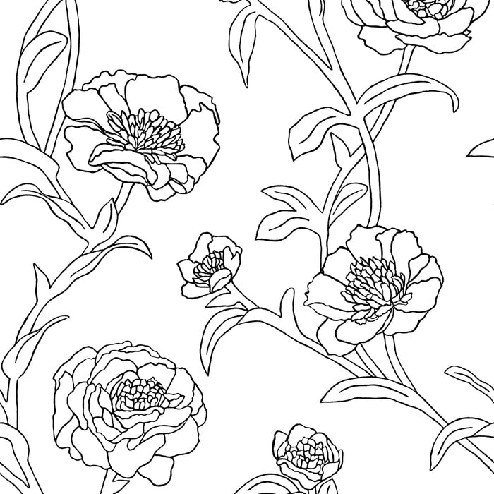 SINGLE ROLL / Black and White Floral