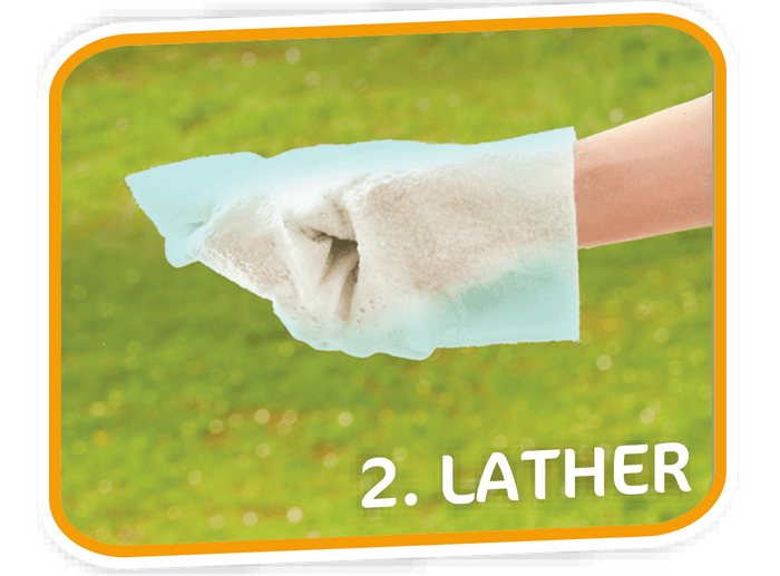 Pet Fresh Wash Mitts