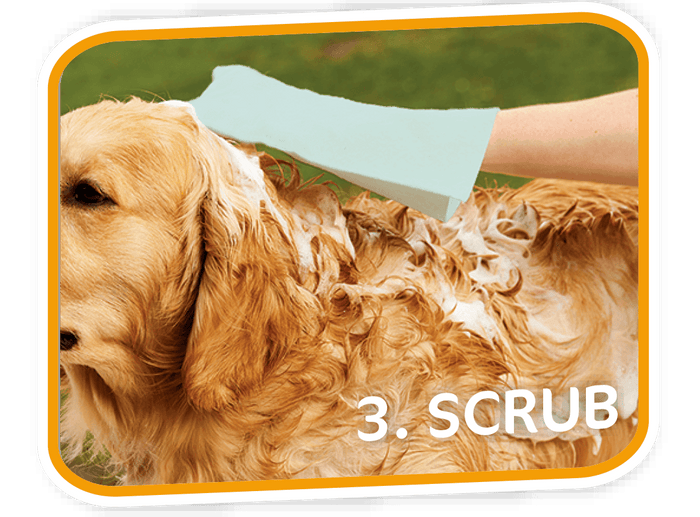 Pet Fresh Wash Mitts