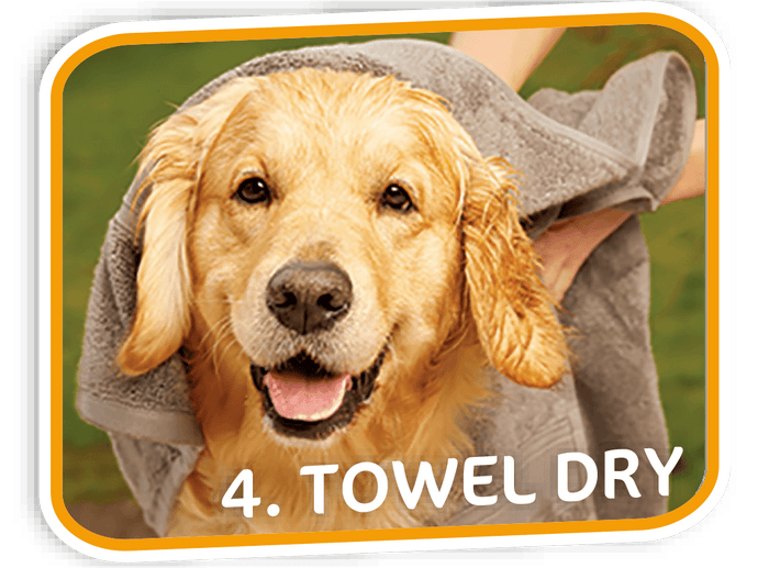 Pet Fresh Wash Mitts