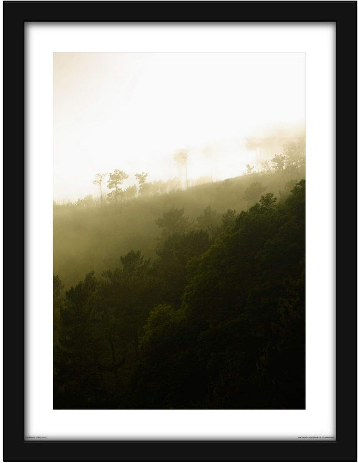 Poster Hub Feng Shui Wood Forest Slop Growth Expansion And Vitality Art Decor