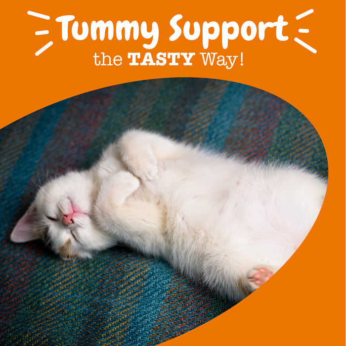 White cat resting on striped fabric with "Tummy Support the TASTY Way" text on orange background.