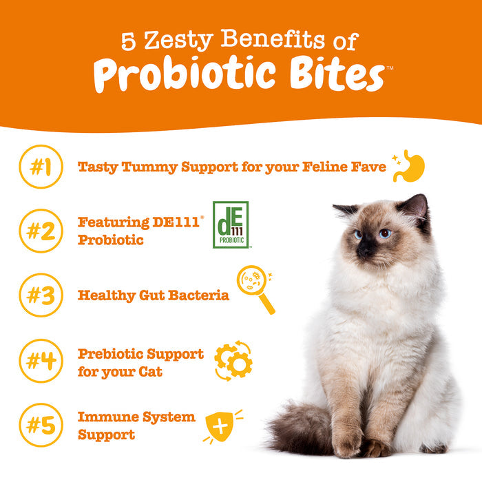 Siamese kitten sitting against orange and white background with text listing five benefits of probiotic bites for cats.