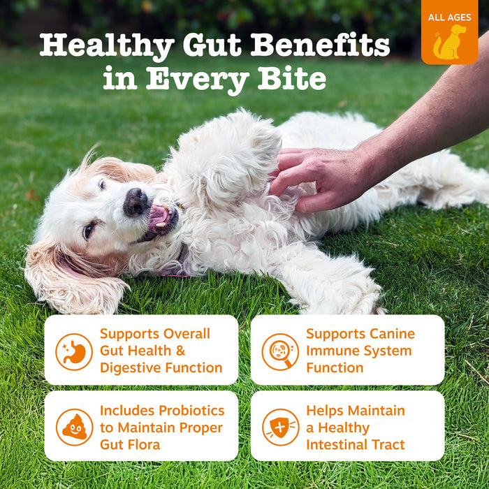 White dog lying on grass while hand offers a probiotic bite treat.