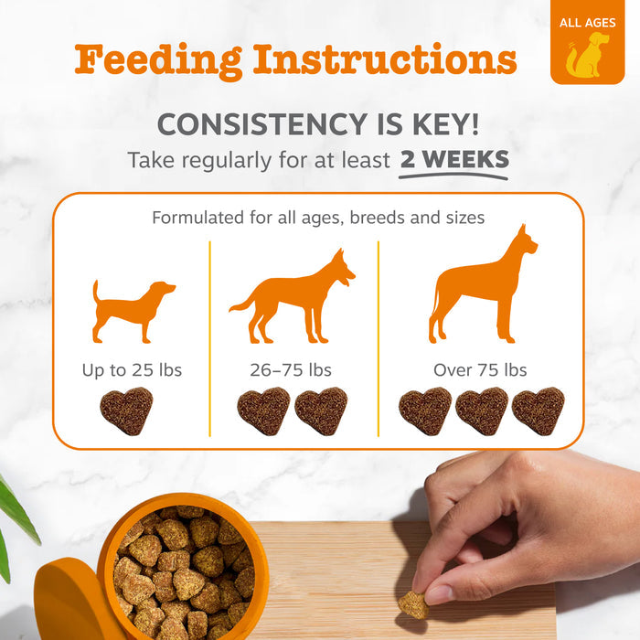 Feeding instructions card showing dosage guidelines for dogs by weight with heart-shaped treats and hand holding a bite.