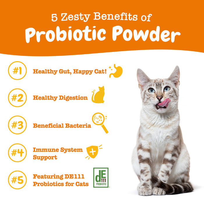 Gray and white tabby cat licking its nose next to text listing five benefits of probiotic powder for cats.