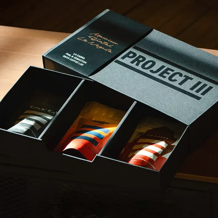 Project III
