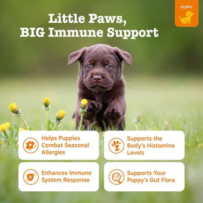 Brown puppy sitting in grass with yellow flowers, product packaging information displayed below.