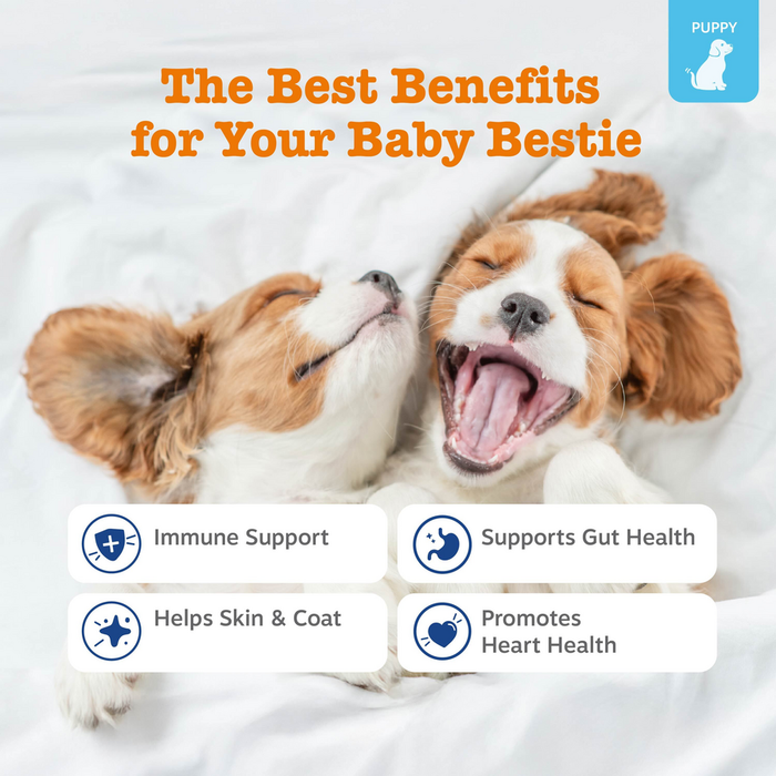 Two brown and white puppies lying on white bedding with benefit icons for immune support, gut health, skin and coat, and hear