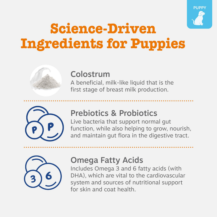 Infographic showing puppy milk replacer ingredients: colostrum powder, prebiotics and probiotics, omega fatty acids 3 and 6.