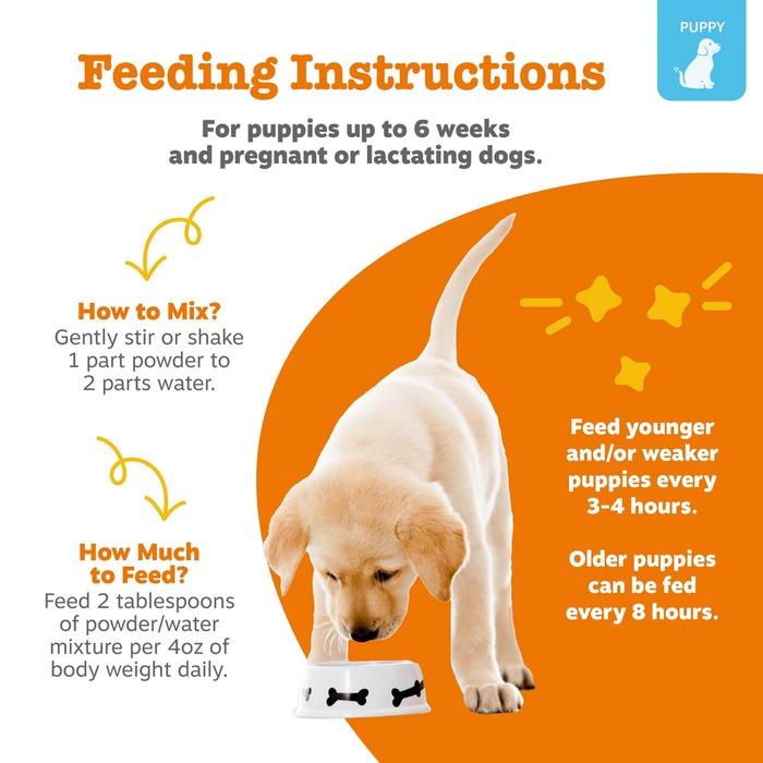 Feeding instructions graphic showing cream-colored puppy eating from bowl with mixing and dosage guidelines on orange backgro