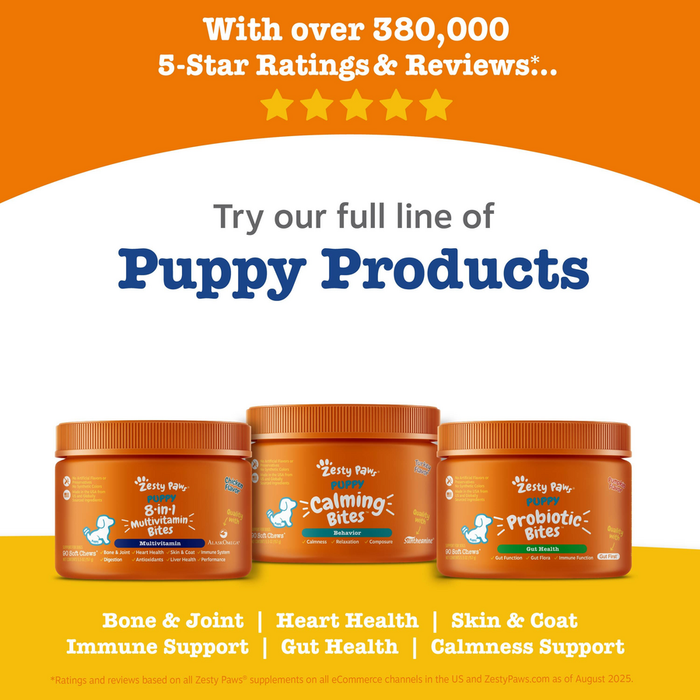 Three orange bottles of puppy supplements labeled Multivitamin Bites, Calming Bites, and Probiotic Bites on yellow background