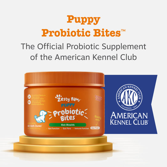Orange jar of Puppy Probiotic Bites with green label and orange ribbed lid on gold pedestal next to AKC badge.