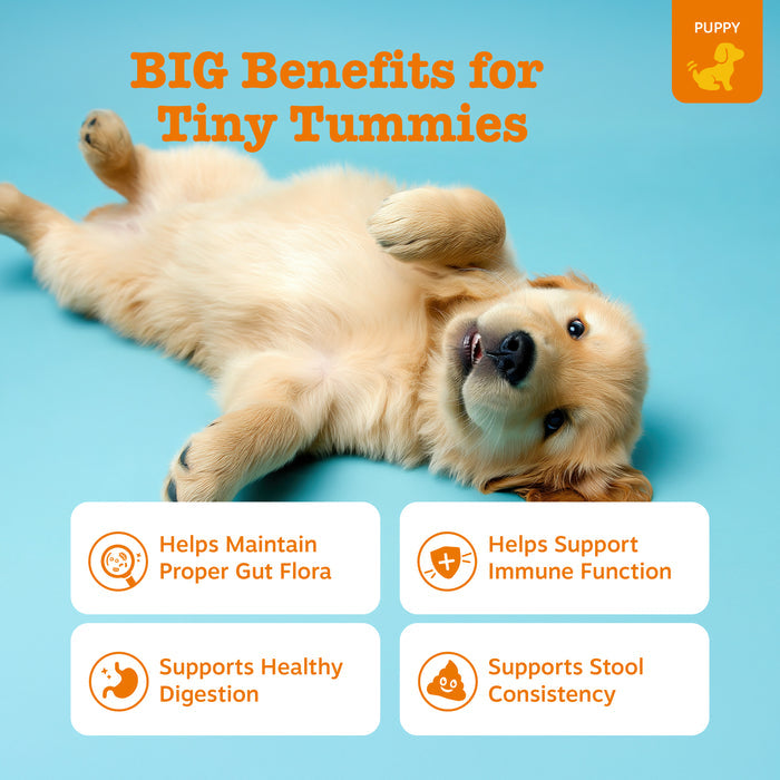 Light-colored puppy lying on blue background with orange text and benefit icons displayed below.