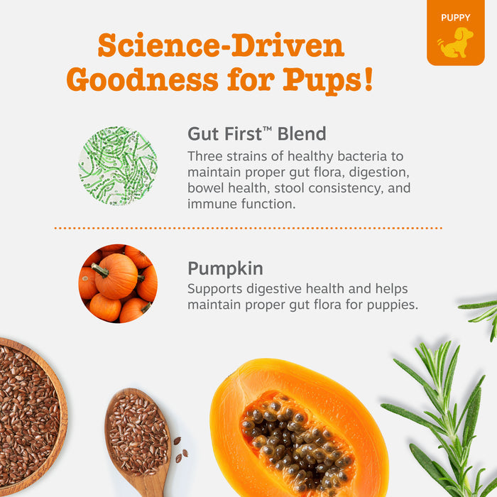 Small brown probiotic treat bites displayed with pumpkin, rosemary, and ingredient illustrations.