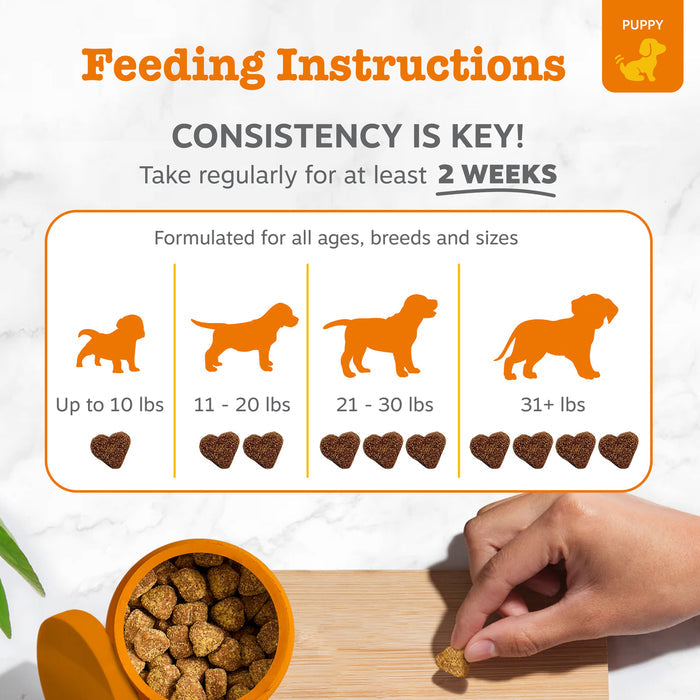 Feeding instructions for puppy probiotics showing dosage by weight with silhouettes and heart-shaped treats in an orange bowl