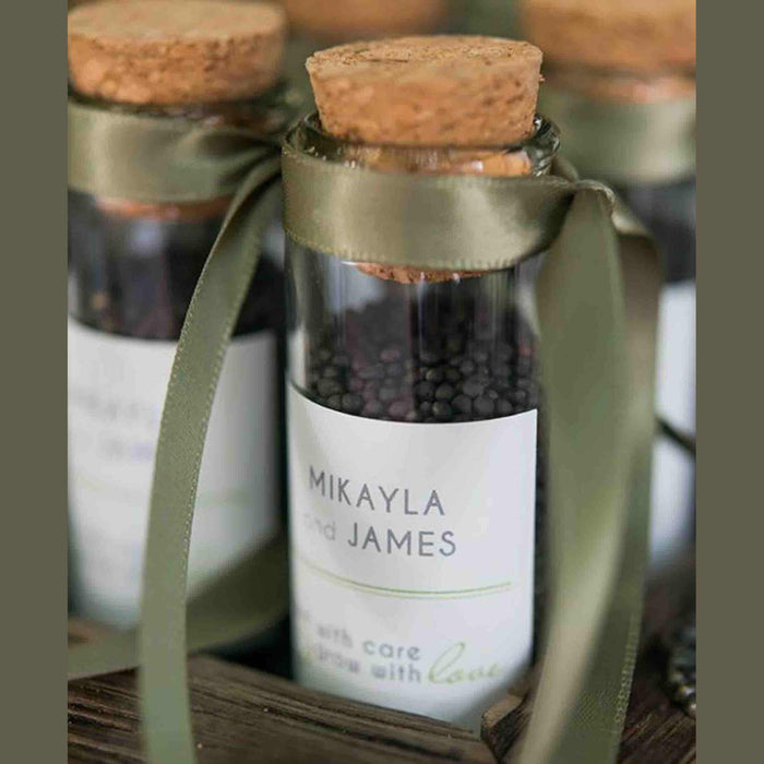 Regent 4 Piece Glass Bottle With Cork Lid 95ml - Clear