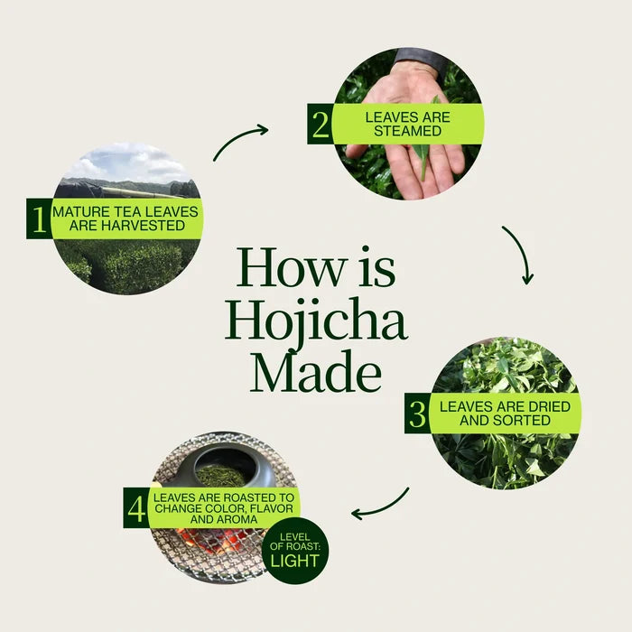 Roasted Hojicha Green Tea Noike