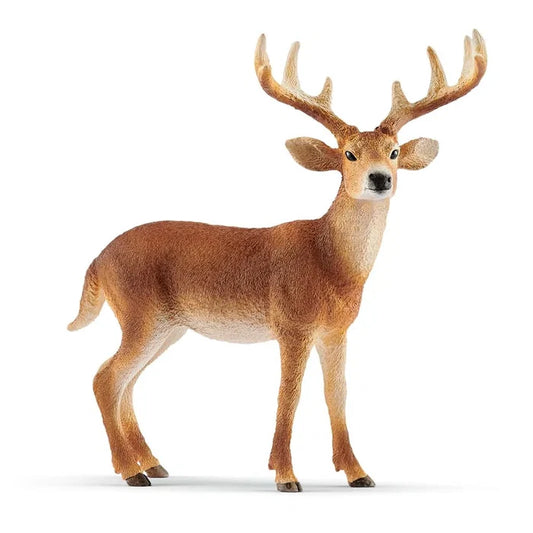 Schleich White Tailed Buck Toy Figure